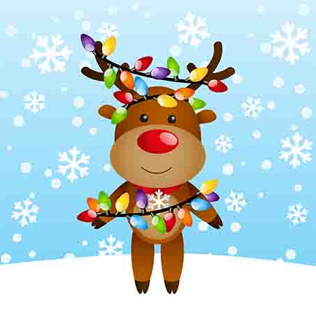 Deer